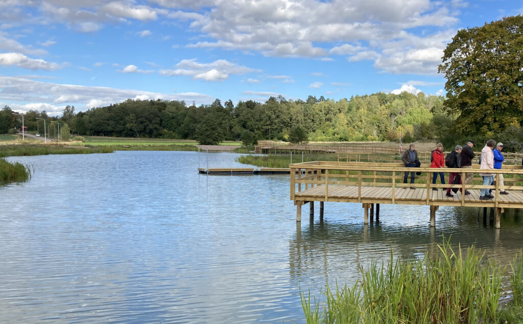 Flera personer står på en träbrygga i Gottsunda vattenpark.